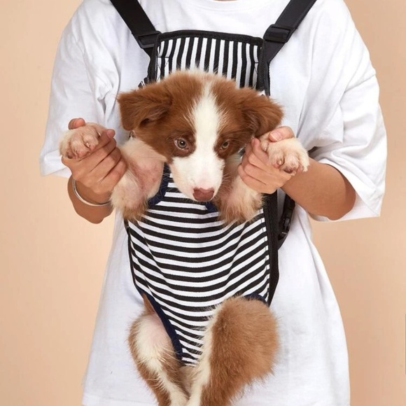 Pet carrier - Picture 3 of 3